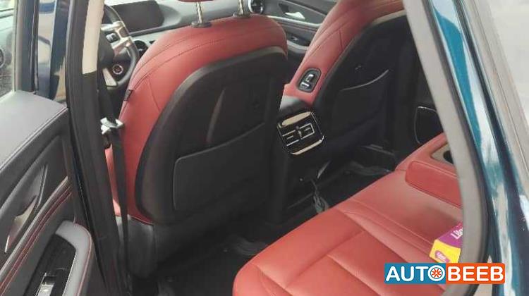 Dongfeng Forthing 2024